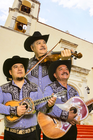 el poder del son - musica de la huasteca